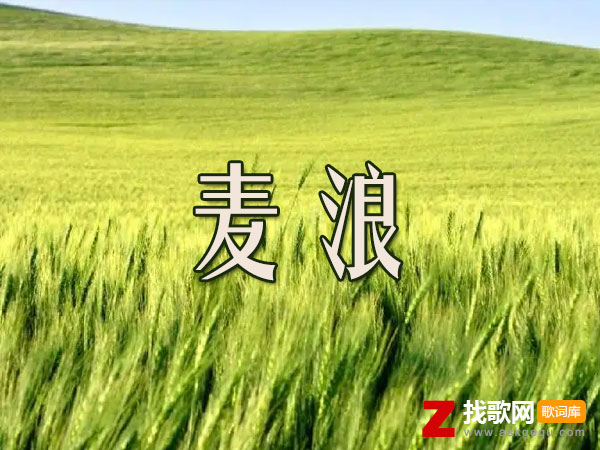 麦浪歌词（yihuik苡慧演唱歌曲）