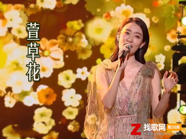 萱草花歌词（张小斐演唱歌曲）