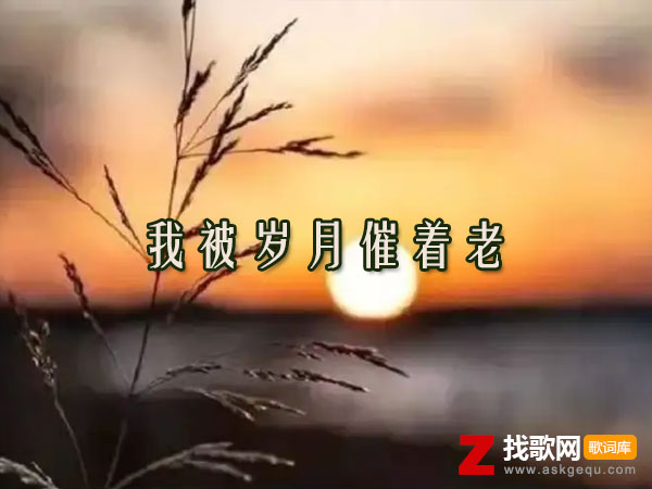 我被岁月催着老
