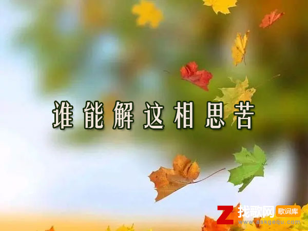 谁能解这相思苦歌词（笑天演唱歌曲）