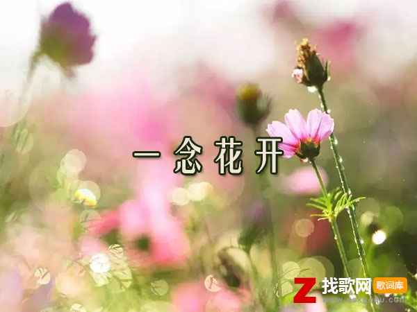 一念花开歌词（残雪演唱歌曲）