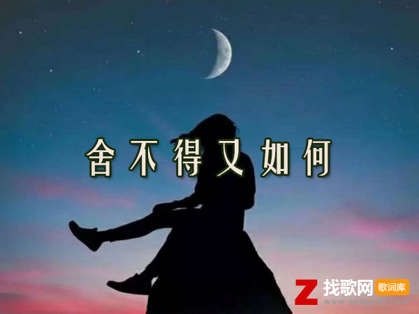 舍不得又如何歌词（弹棉花的小花演唱歌曲）