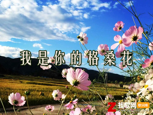 我是你的格桑花歌词（欣宝儿演唱歌曲）