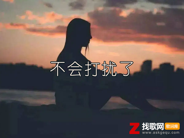 我决定为爱上把锁不再为你而执着是什么歌，《不会打扰了》歌曲介绍