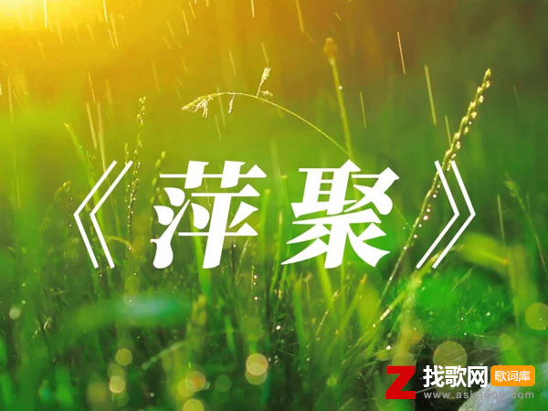 别管以后将如何结束是什么歌，《萍聚》歌曲介绍