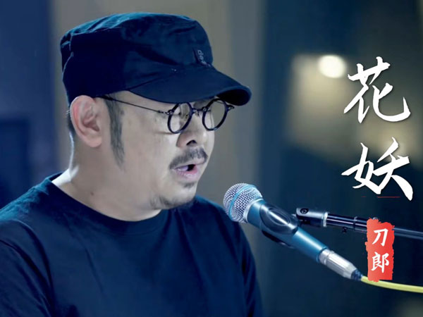 我是那年轮上流浪的眼泪是什么歌，《花妖》歌曲介绍