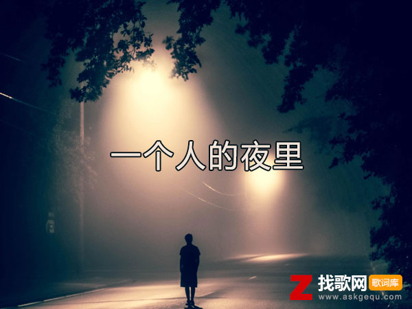 我在没有路灯没有冷风的夜里是什么歌，《一个人的夜里》歌曲介绍