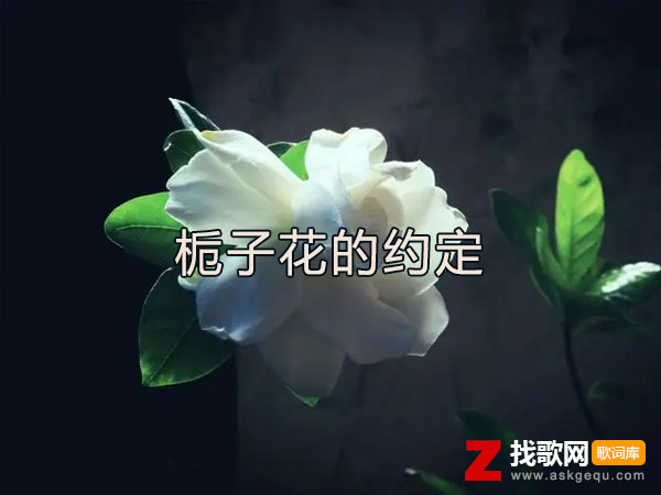 栀子花的约定歌词（林三七演唱歌曲）