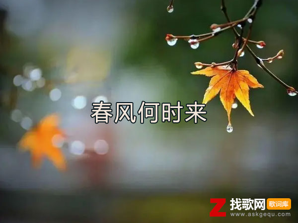 春风何时来歌词（巴扎黑演唱歌曲）