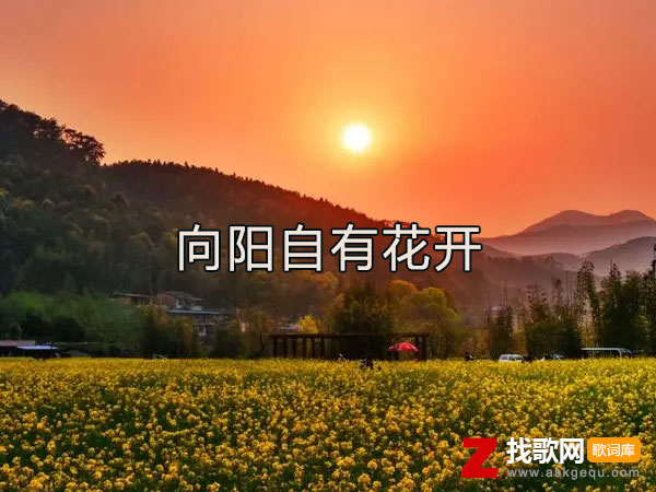向阳自有花开